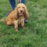 597251461 1252180036939808 5939307571605698015 n