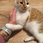 597496729 1255356386622173 3922008652469681290 n