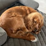 597527751 1252182946939517 5764672133255007961 n