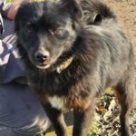 597783224 1258771382947340 5169568672079990112 n