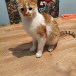 597846984 1255356356622176 765251963124289234 n