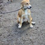 597891931 1259233282901150 1746262753277542261 n