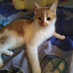 597922303 1255356549955490 161812964112490598 n