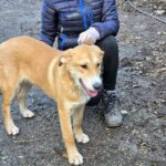 597928698 1259233242901154 8008645486252495496 n