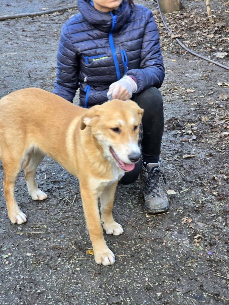 597928698 1259233242901154 8008645486252495496 n