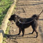 598142831 1258771139614031 2178318429691236438 n