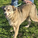 598842574 1260031299488015 3758187901317218631 n