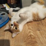 598874094 1255356509955494 4473453086562995504 n