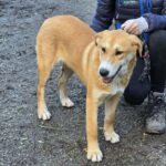 599929070 1259233319567813 4160459548549443437 n