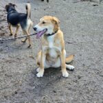 599953664 1259233349567810 3522416240666536210 n