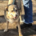 600092408 1260031262821352 1237137564790021996 n