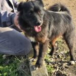 600349595 1258771262947352 8653544655306996811 n