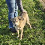 600878429 1260031416154670 5603561292112343458 n