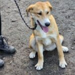 600882554 1259233199567825 3890133268784095099 n