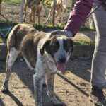 600905743 1262248475932964 7250416014961004009 n