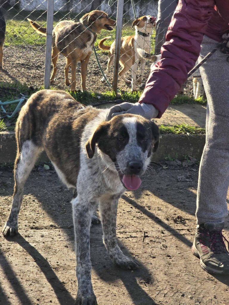 600905743 1262248475932964 7250416014961004009 n