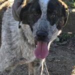 600905743 1262248519266293 3928455971237036563 n