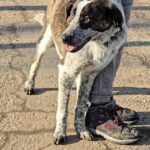 600907431 1262248575932954 5359480143444633539 n