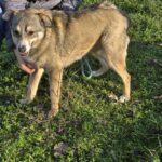 601431948 1260031472821331 7039936525003427416 n