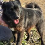 601507153 1258770932947385 8164765587348178064 n