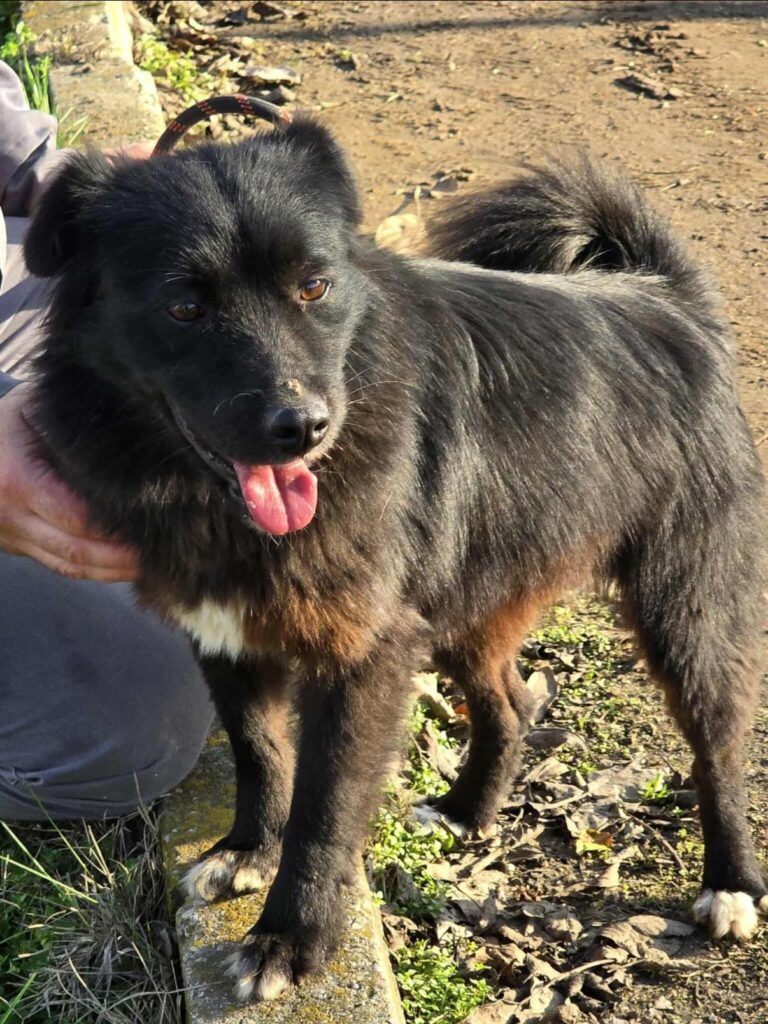 601507153 1258770932947385 8164765587348178064 n