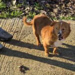 602307208 1262778335879978 1865362195722791621 n