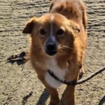 602350368 1262778372546641 8092285760957529633 n