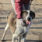 602358424 1262248395932972 5366620362918863149 n