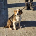 602458210 1263031695854642 2917519435490002063 n