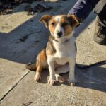 603737973 1263031622521316 3683628525547956467 n