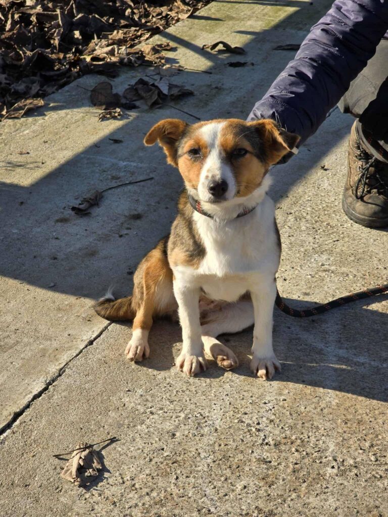 603737973 1263031622521316 3683628525547956467 n