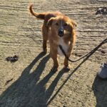 604524266 1262778559213289 7931319843337462972 n