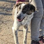 604613582 1262248545932957 7648992384865072413 n