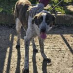 604858540 1262248605932951 8574043577206148373 n