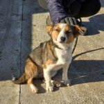 605082577 1263031589187986 5193295318542973506 n