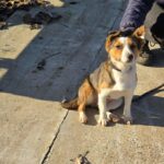 605221328 1263031769187968 4397925894858217408 n