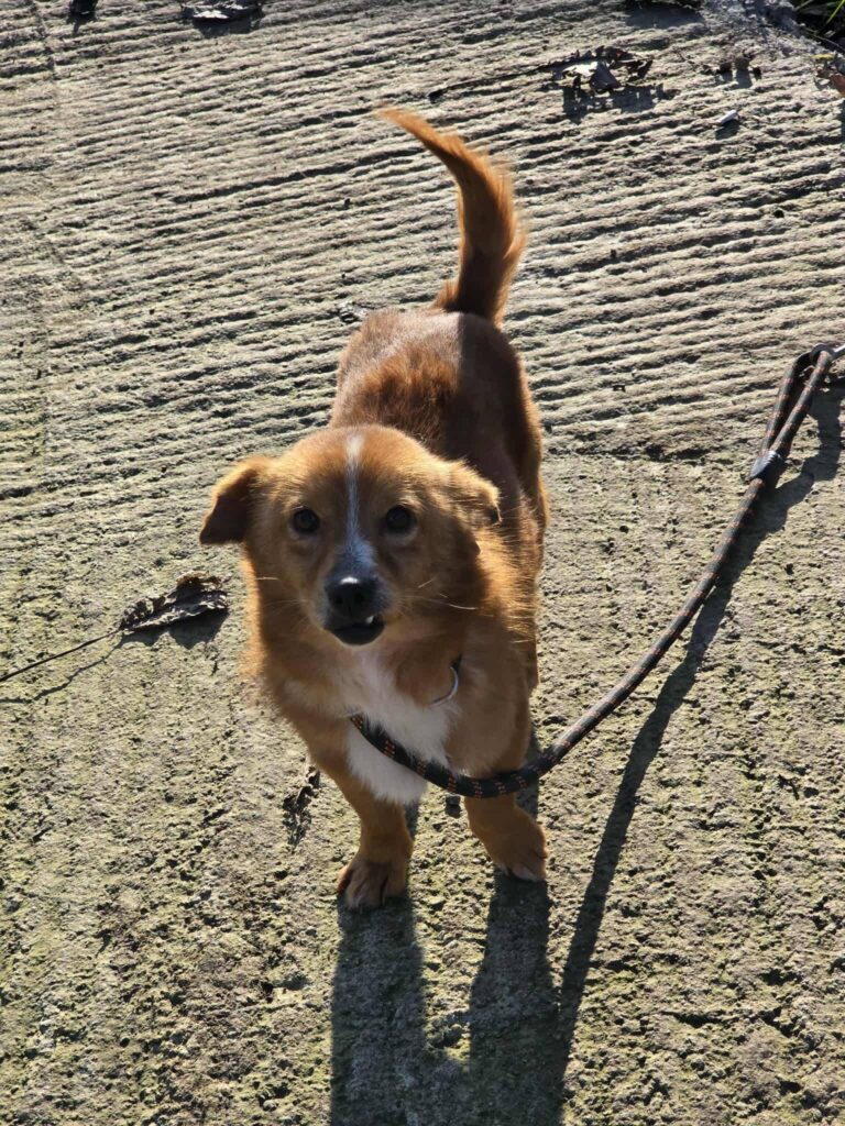 605231561 1262778525879959 3793503815159008391 n