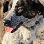 605281060 1262248422599636 5053236946624112183 n