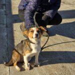 605570573 1263031822521296 4890215210765786648 n