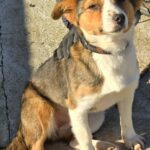 605635883 1263031662521312 5687401041435607795 n