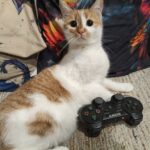 606048424 1270846931739785 4178411068606636383 n