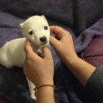 607653572 1271983164959495 6026628318501714752 n