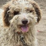 607786490 1271536798337465 5648431172176186700 n