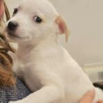 608004687 1271983121626166 1589917815328669786 n