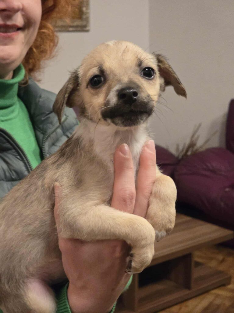 608534791 1272562181568260 3555647333607918155 n