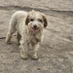 608674061 1271536911670787 1754906787804701398 n