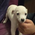 609199239 1271983094959502 7056132926936445997 n