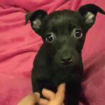 610869942 1274168278074317 7139124317670971056 n