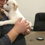 611102042 1271982794959532 3285097040315128439 n