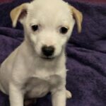 611144512 1271983081626170 7974342875293477213 n